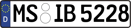 MS-IB5228