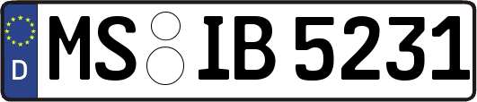 MS-IB5231