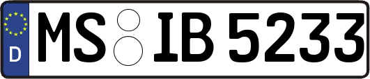 MS-IB5233