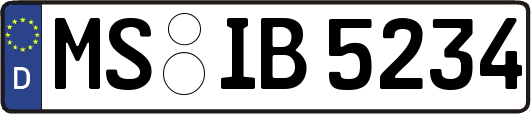 MS-IB5234