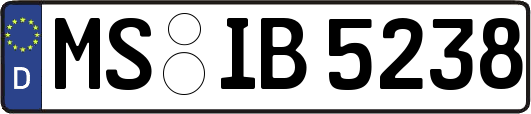 MS-IB5238