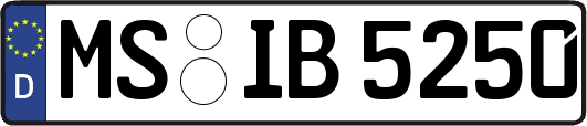 MS-IB5250