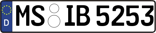 MS-IB5253