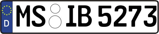 MS-IB5273