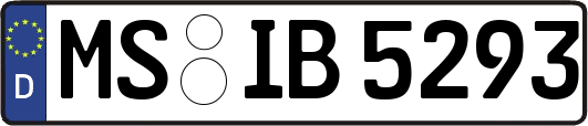 MS-IB5293
