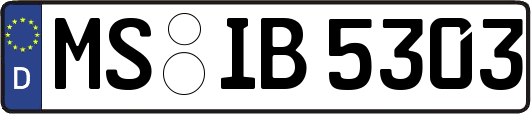 MS-IB5303