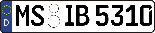 MS-IB5310