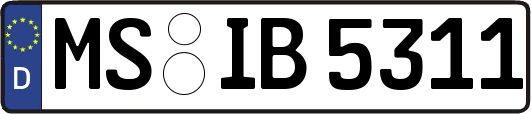 MS-IB5311