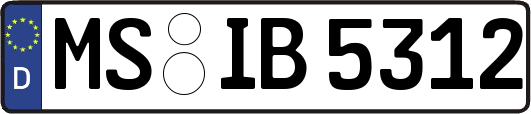 MS-IB5312