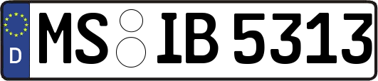 MS-IB5313