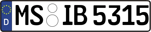 MS-IB5315