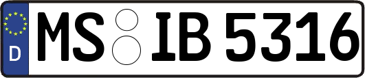 MS-IB5316