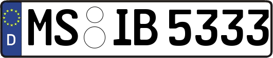 MS-IB5333