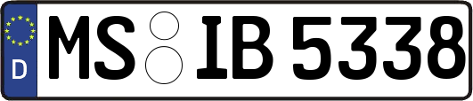 MS-IB5338