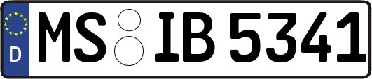 MS-IB5341