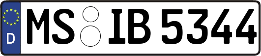 MS-IB5344