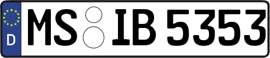 MS-IB5353