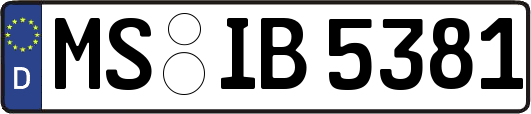 MS-IB5381