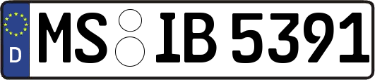 MS-IB5391