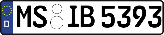 MS-IB5393