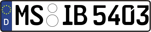 MS-IB5403