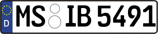 MS-IB5491