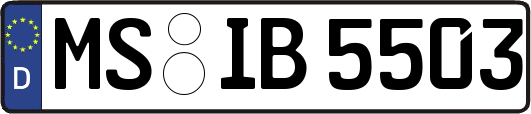 MS-IB5503