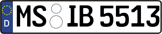 MS-IB5513