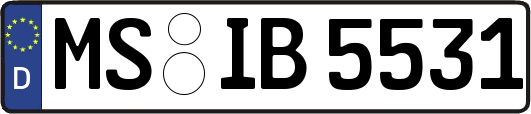MS-IB5531