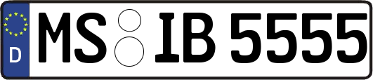 MS-IB5555