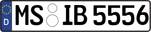 MS-IB5556