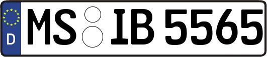 MS-IB5565