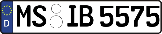 MS-IB5575