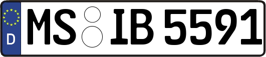 MS-IB5591