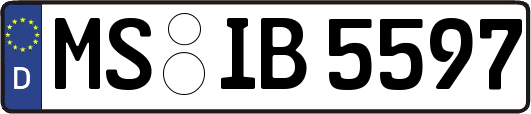 MS-IB5597