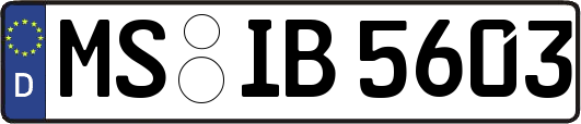 MS-IB5603