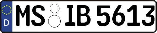 MS-IB5613