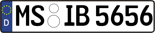 MS-IB5656
