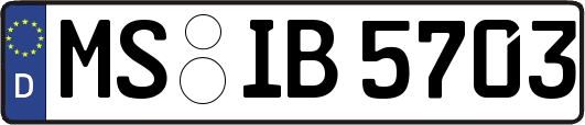 MS-IB5703