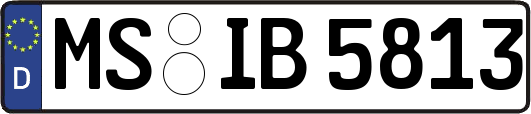MS-IB5813