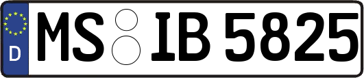 MS-IB5825