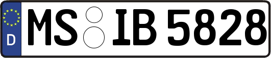 MS-IB5828