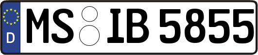 MS-IB5855