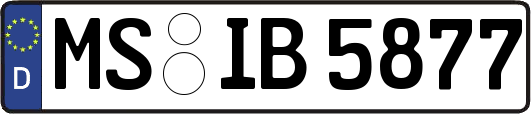 MS-IB5877
