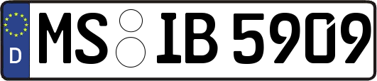 MS-IB5909