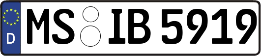 MS-IB5919