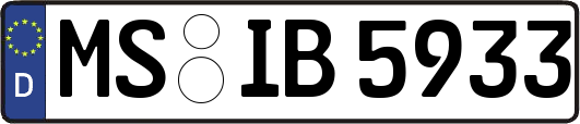 MS-IB5933