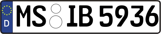 MS-IB5936