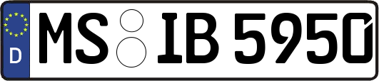 MS-IB5950