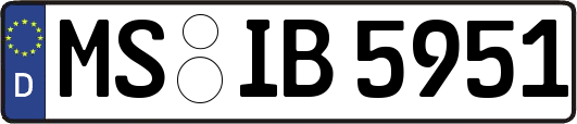 MS-IB5951